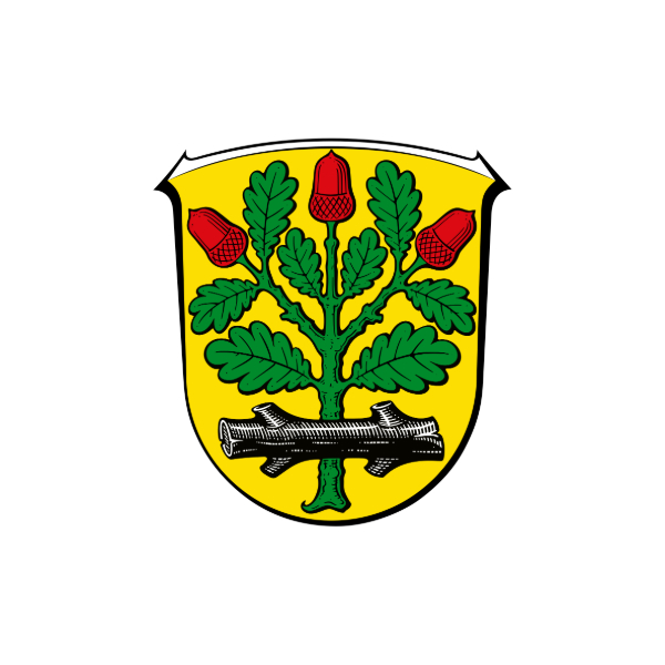 RSM Offenbach Landkreis / Langen