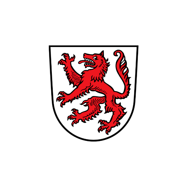RSM Passau ILS Stadt 