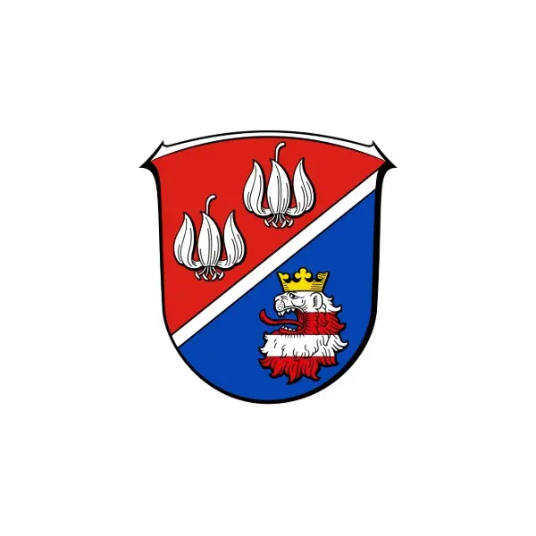 RSM Vogelsbergkreis