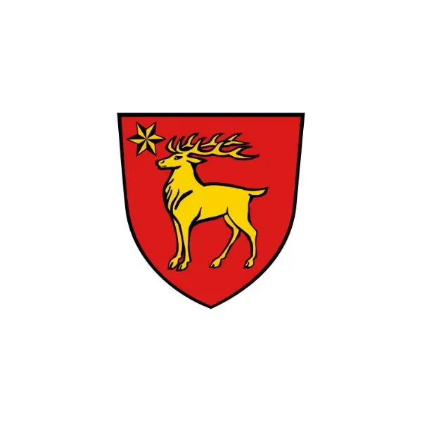 RSM Sigmaringen Stadt und Landkreis