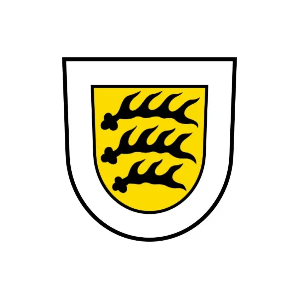 RSM Tuttlingen Stadt