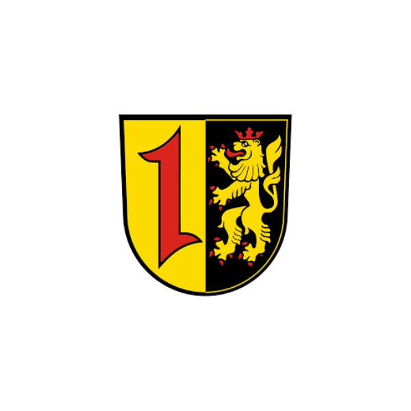 RSM Mannheim Stadt 