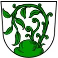 RSM Alzey-Worms-Landkreis / Erbes-Büdesheim