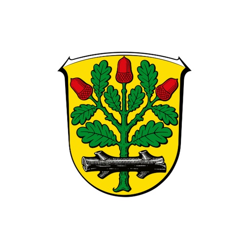 [11229] RSM Offenbach Landkreis / Langen