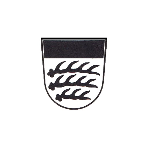 [11705] RSM Rems-Murr-Kreis / Waiblingen